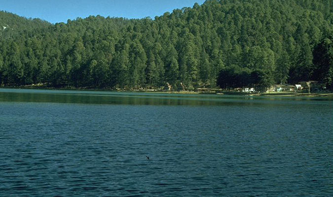 Morelia Nature Zitacuaro